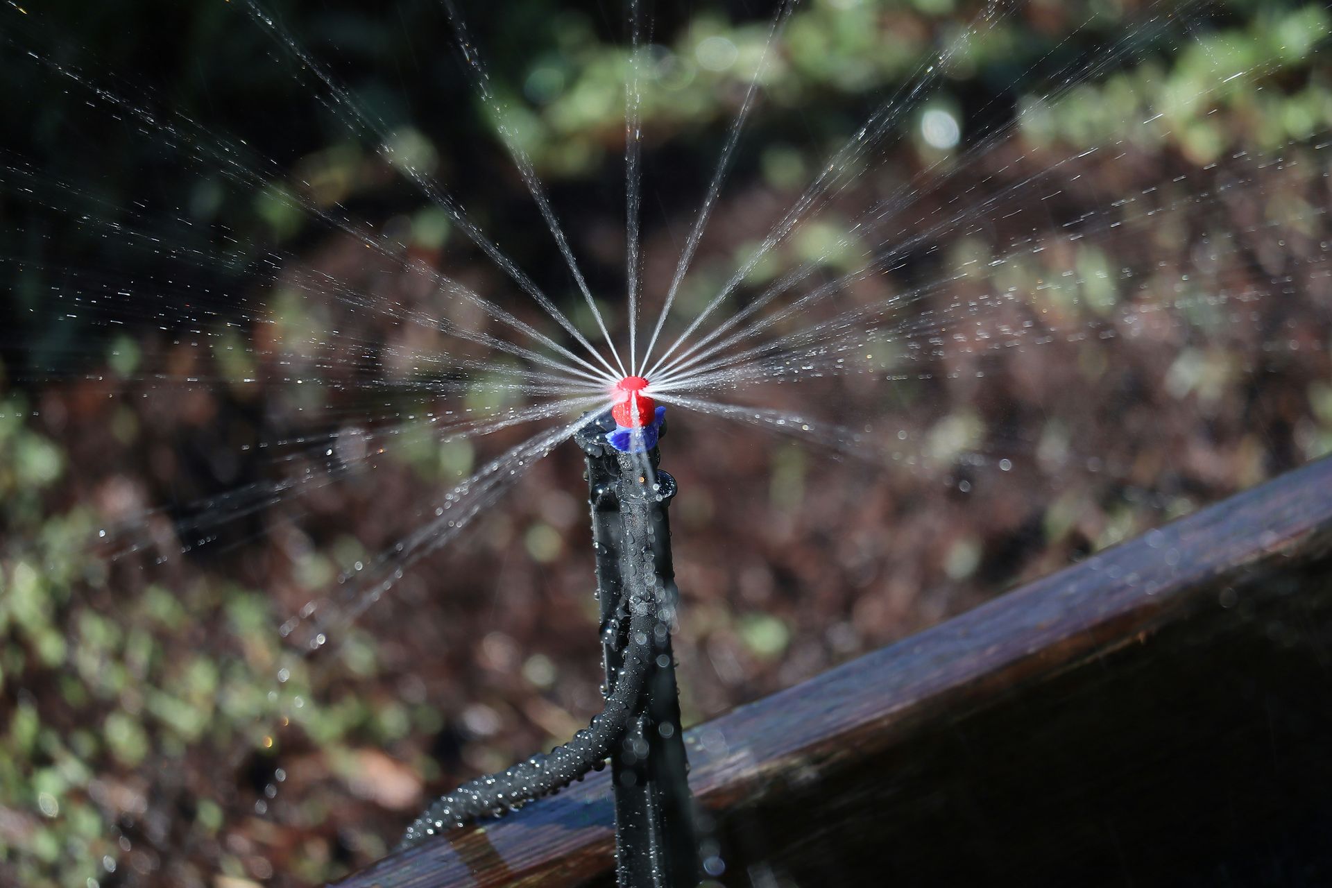 spider web on brown wooden fence during daytime